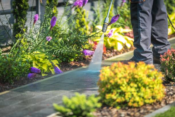 Nampa, ID  Pressure Washing Services Company